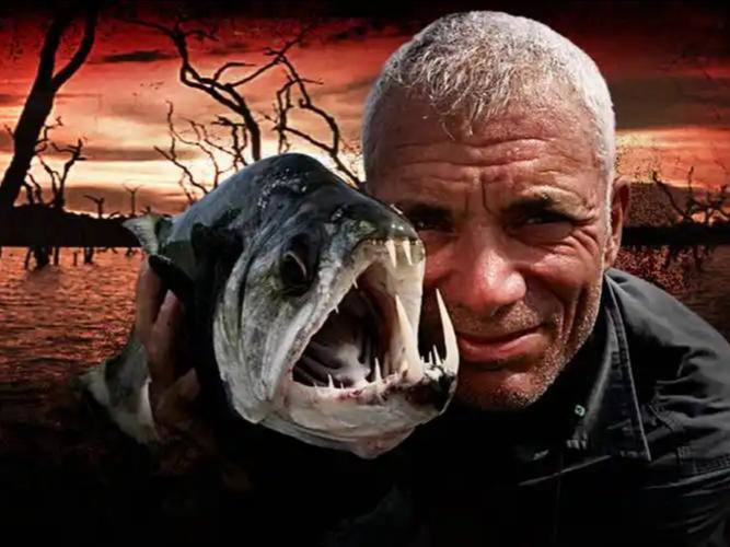 食人巨魚_河中探秘食人巨魚_《河中巨怪》第三季第2集食人長鰭鰻必看