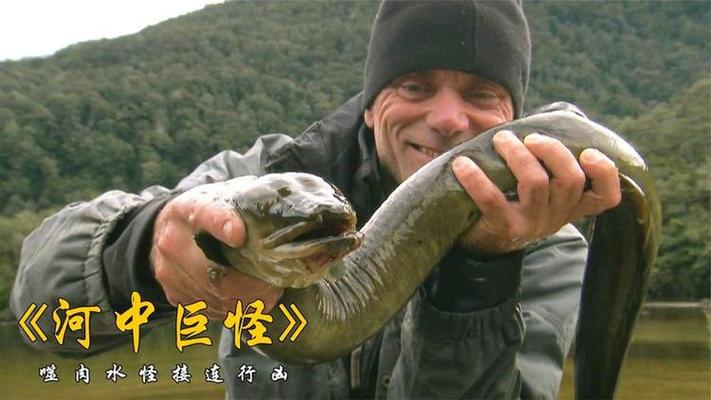 河中探秘食人巨魚_食人巨魚_《河中巨怪》第三季第2集食人長鰭鰻必看