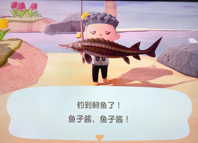垂釣解壓方式_商業垂釣方式_賺錢和釣魚是樂事