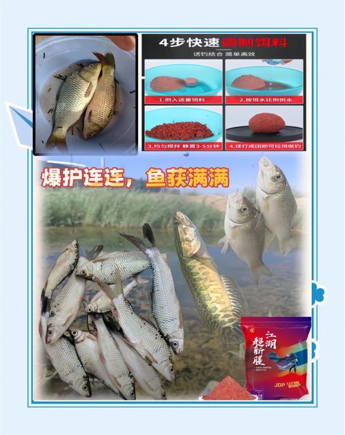 夜釣大板鯽技巧_秋冬釣鯽魚什么餌料好_深秋釣大板鯽攻略