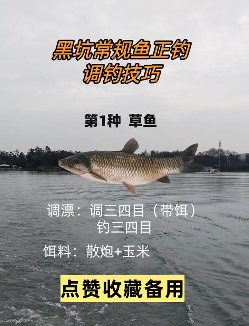 浮釣草魚用什么餌料黑坑_黑坑浮釣草魚的技巧和方法_釣餌料浮草魚黑坑用多大的鉤