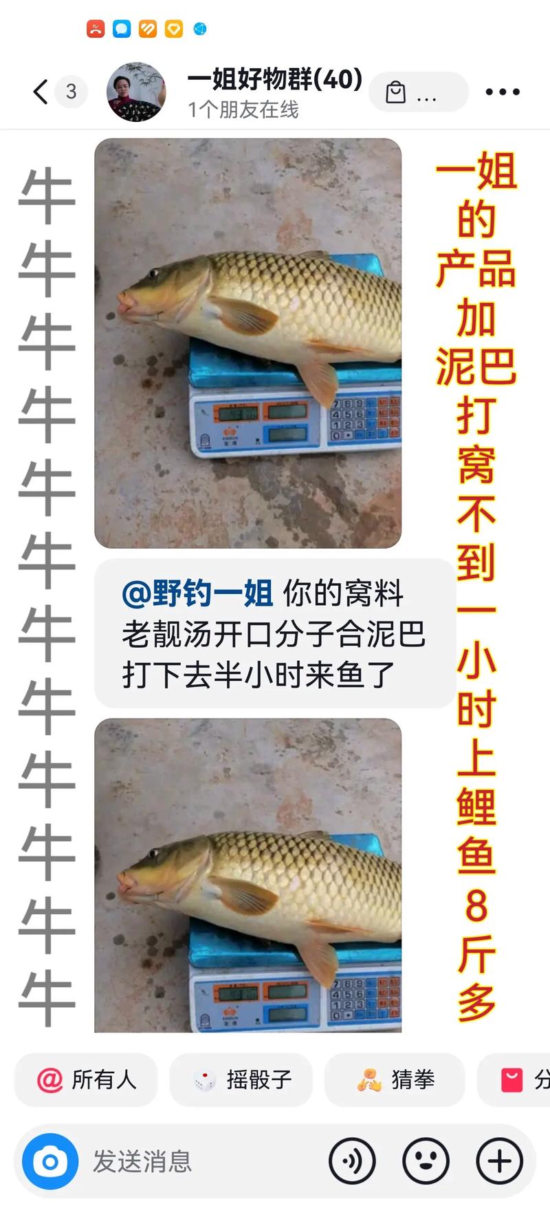 黑坑垂釣草魚技巧_資深釣友分享水庫釣草魚的打窩技巧必看_釣浮還是釣底分析