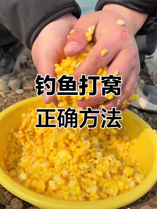 釣浮還是釣底分析_資深釣友分享水庫釣草魚的打窩技巧必看_黑坑垂釣草魚技巧