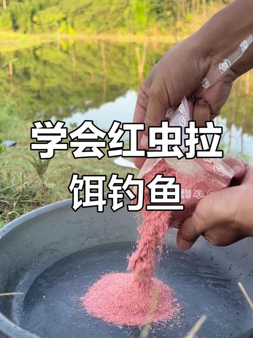 紅蟲招小魚解決方法_資深釣友揭秘紅蟲餌如何養殖與上餌技巧必看_紅蟲餌料制作方法