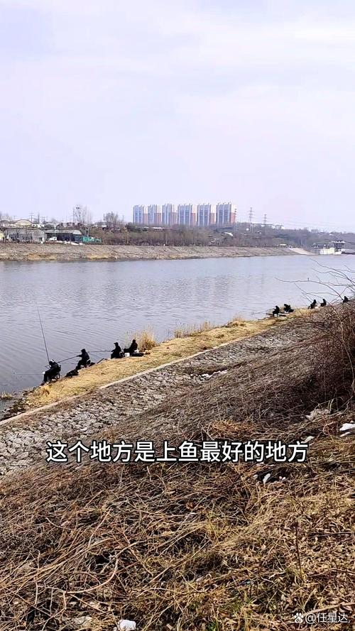安慶免費釣魚地點_安慶市釣魚有哪些地方_安慶釣魚哪里最好