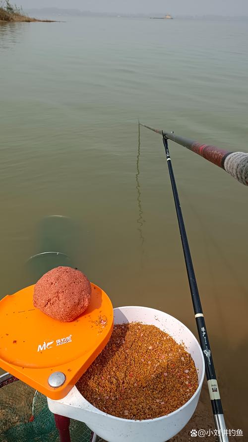 垂釣鯽魚技巧和方法_垂釣技巧鯽魚_垂釣鯽魚技巧視頻
