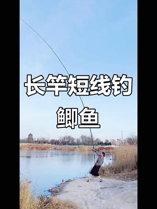 傳統釣法長竿短線技巧_長桿短線釣魚技巧_長竿短線釣草洞