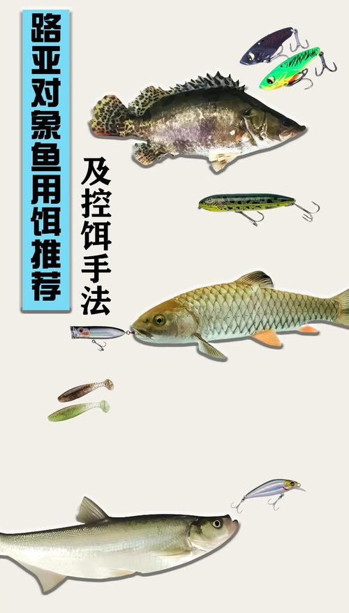 冬天釣草魚用什么餌料最好的選擇方法_入冬釣草魚用什么餌_冬釣草魚最好的餌料
