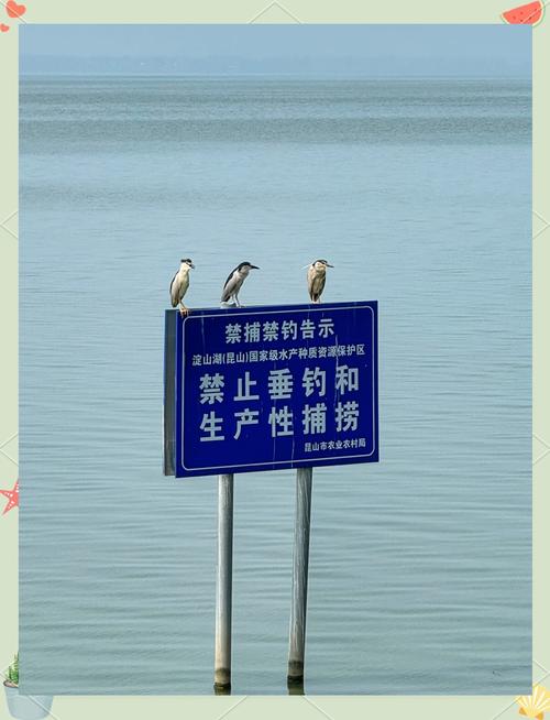 北京玉淵潭釣魚臺山莊_玉淵潭公園-釣魚臺銀杏大道_玉淵潭公園 釣魚