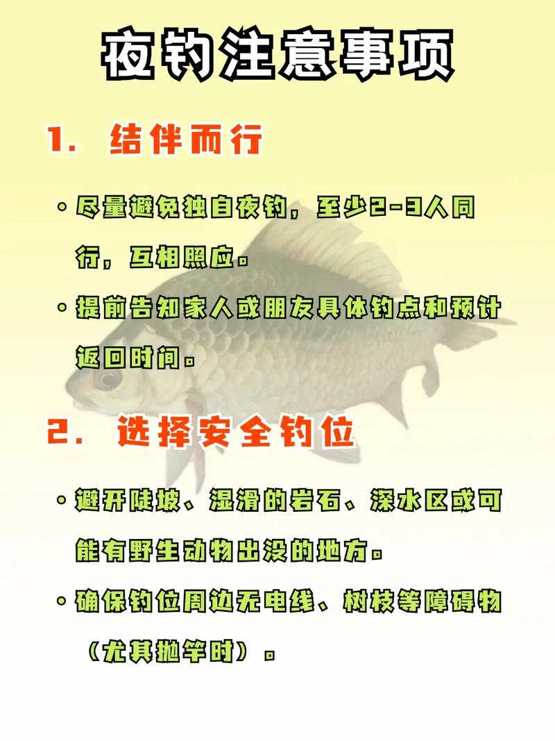 資深釣魚人的20個夜釣技巧必看_夜釣大魚方法_夏天夜間釣魚技巧
