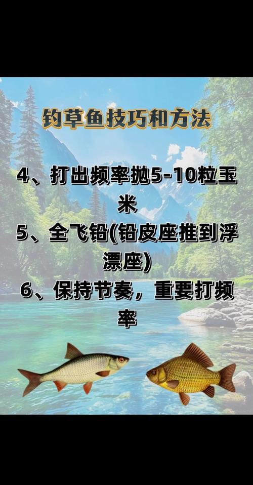 釣草魚釣點選擇_資深釣魚人的春季釣草魚用餌思路必看_釣草魚最佳時間