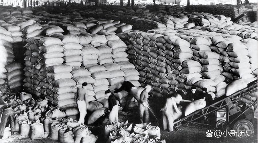 老毛不承認餓死人_老毛不承認餓死人_老毛不承認餓死人