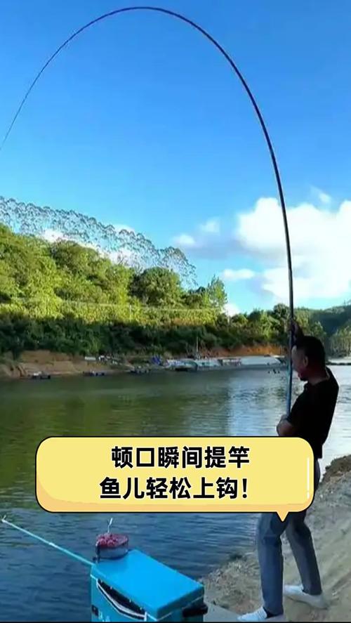 資深釣魚人分享提竿遛魚技巧必看_魚竿溜魚什么角度不傷竿_手竿遛魚視頻