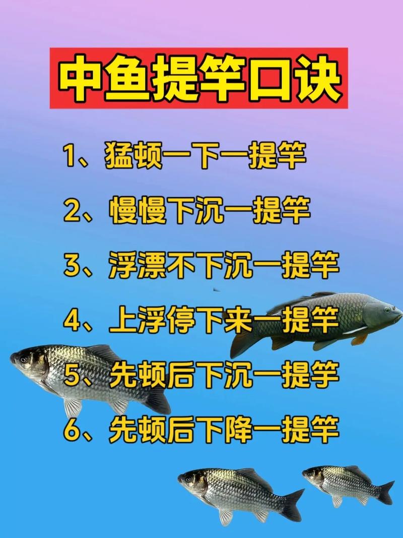 資深釣魚人分享提竿遛魚技巧必看_手竿遛魚視頻_魚竿溜魚什么角度不傷竿