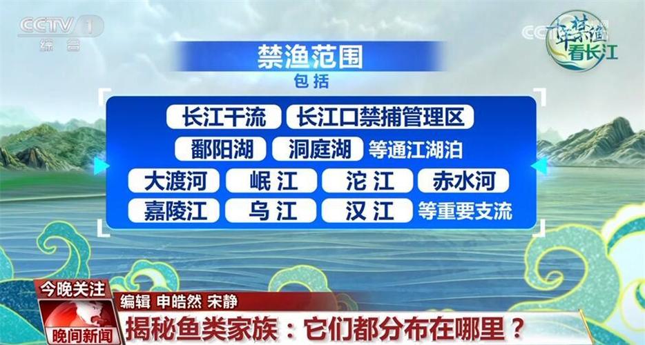 長江流域禁漁期新規定2021_長江流域禁漁10年公告_長江流域禁魚令