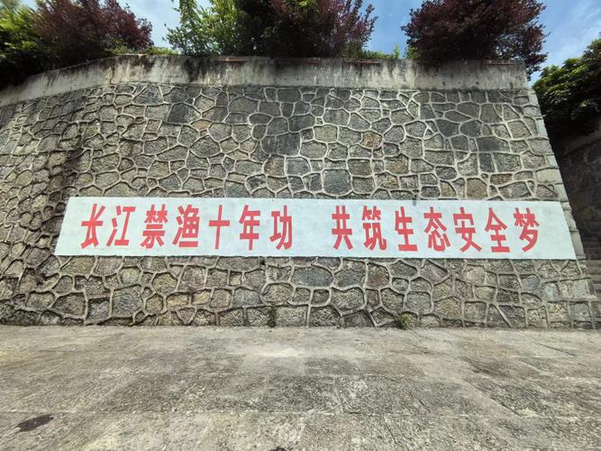 長江流域禁魚令_長江流域禁漁10年公告_長江流域禁漁期新規定2021