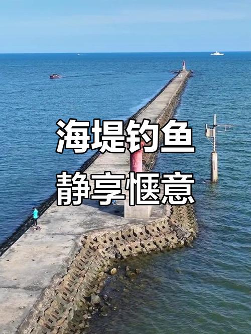 塘沽野釣的地方_塘沽地方野釣地點_塘沽釣魚野釣的地方