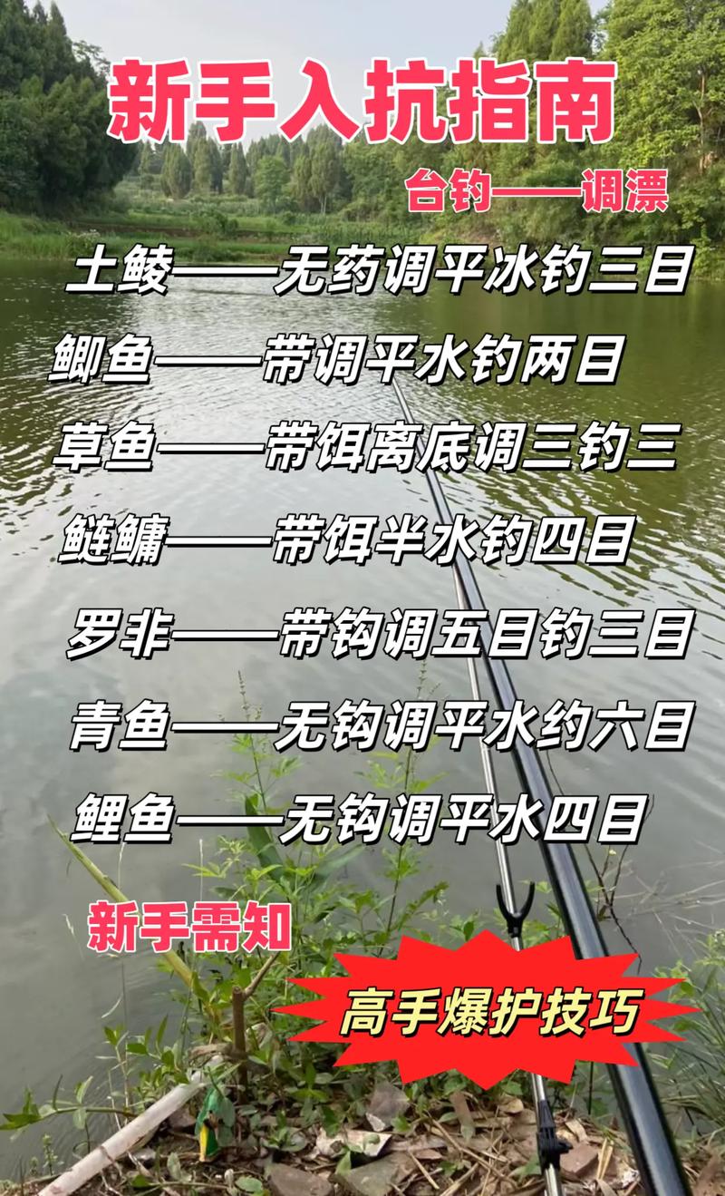 野釣臺逗釣_資深釣魚人講述臺釣5個最實用的技巧必看_臺逗釣法