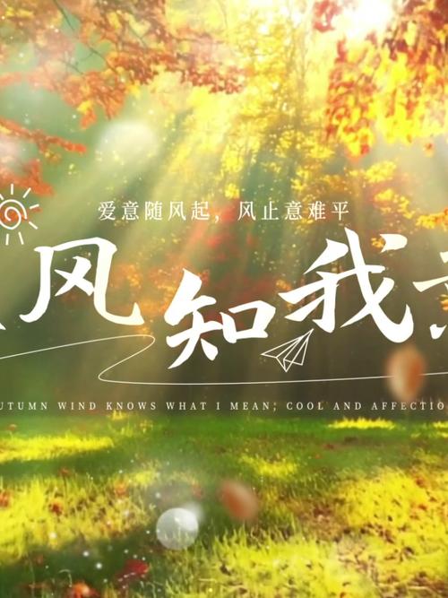 秋風瑟瑟寒意濃_秋意濃濃情如風_秋風瑟瑟解我意基情滿滿情誼濃