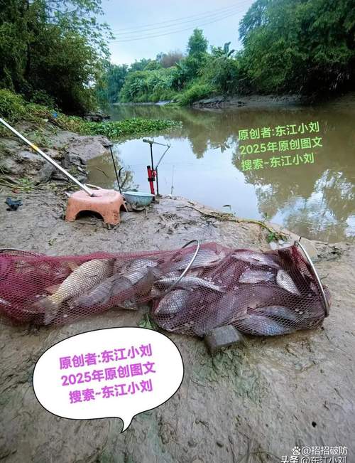 荊門漳河禁釣政策_漳河水庫釣魚路線攻略_漳河水庫禁漁