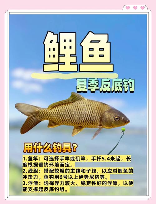 《化紹新釣魚視頻》陌生水庫如何釣鯉魚必看_釣鯉魚視頻真實_水庫野釣鯉魚視頻