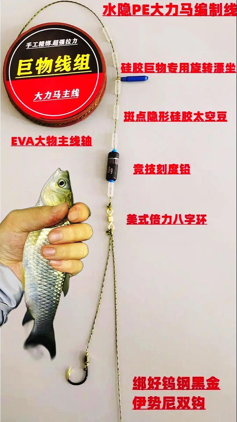 大力馬釣魚線_大馬線魚線_馬線子是什么樣子的