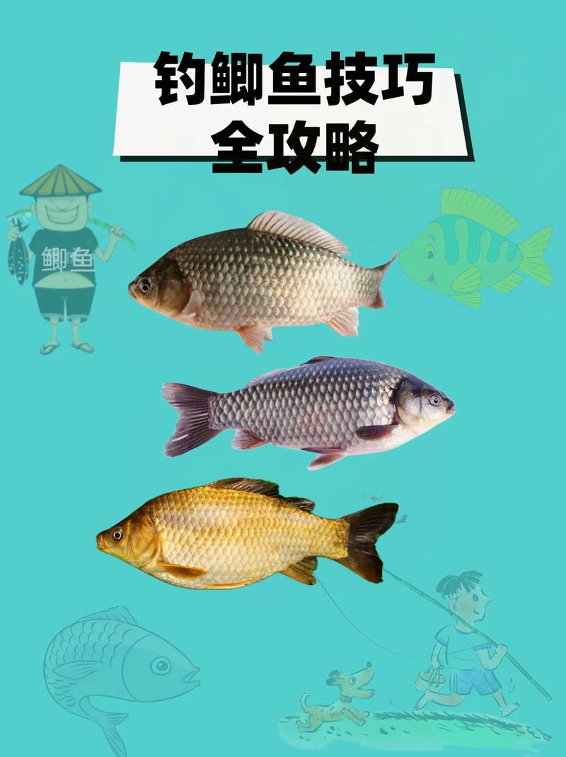資深釣魚人淺談野釣秋季全攻略必看_鯉魚食性分析_秋季釣鯉魚攻略