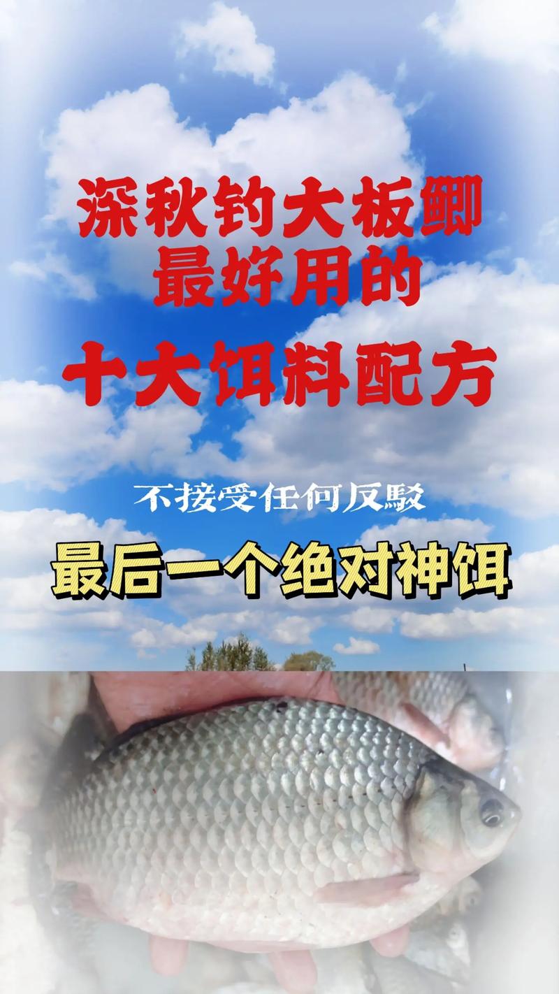 秋季釣魚技巧秋天釣鰱鳙用什么餌料好_秋天釣鰱鳙深水淺灘選擇_鰱鳙水溫層釣法技巧