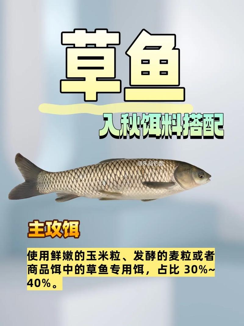 草魚深秋發酵餌料配方_秋季釣草魚用什么餌最好_秋季釣草魚餌料變化規律