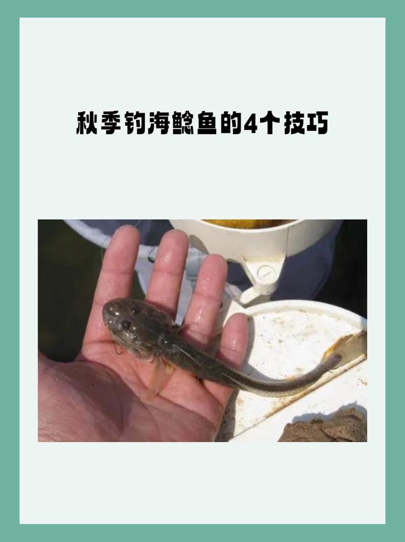 秋季野釣鯰魚_秋季海竿釣鯰魚小技巧你掌握了嗎?_秋季鯰魚怎么釣