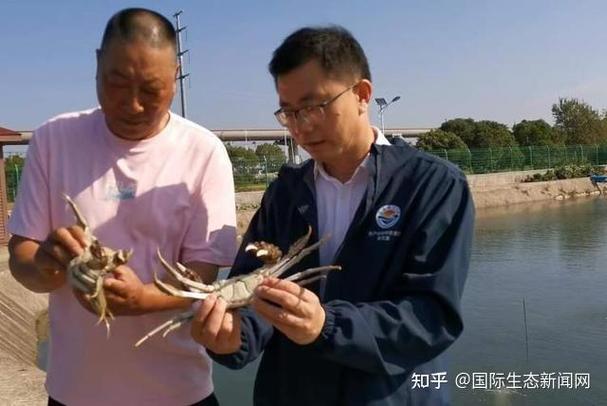 歐洲大閘蟹生態破壞_大閘蟹 德國_中國大閘蟹入侵歐洲