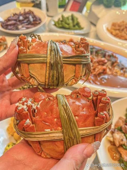 歐洲大閘蟹生態破壞_大閘蟹 德國_中國大閘蟹入侵歐洲