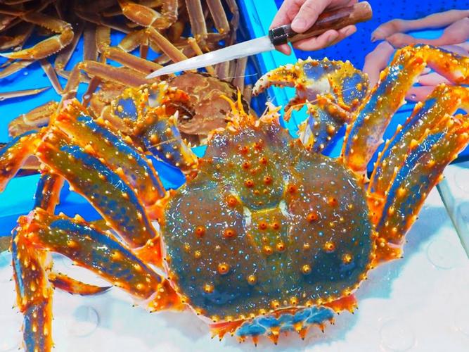 大閘蟹 德國_德國海鮮消費習慣_德國大閘蟹泛濫沒人吃