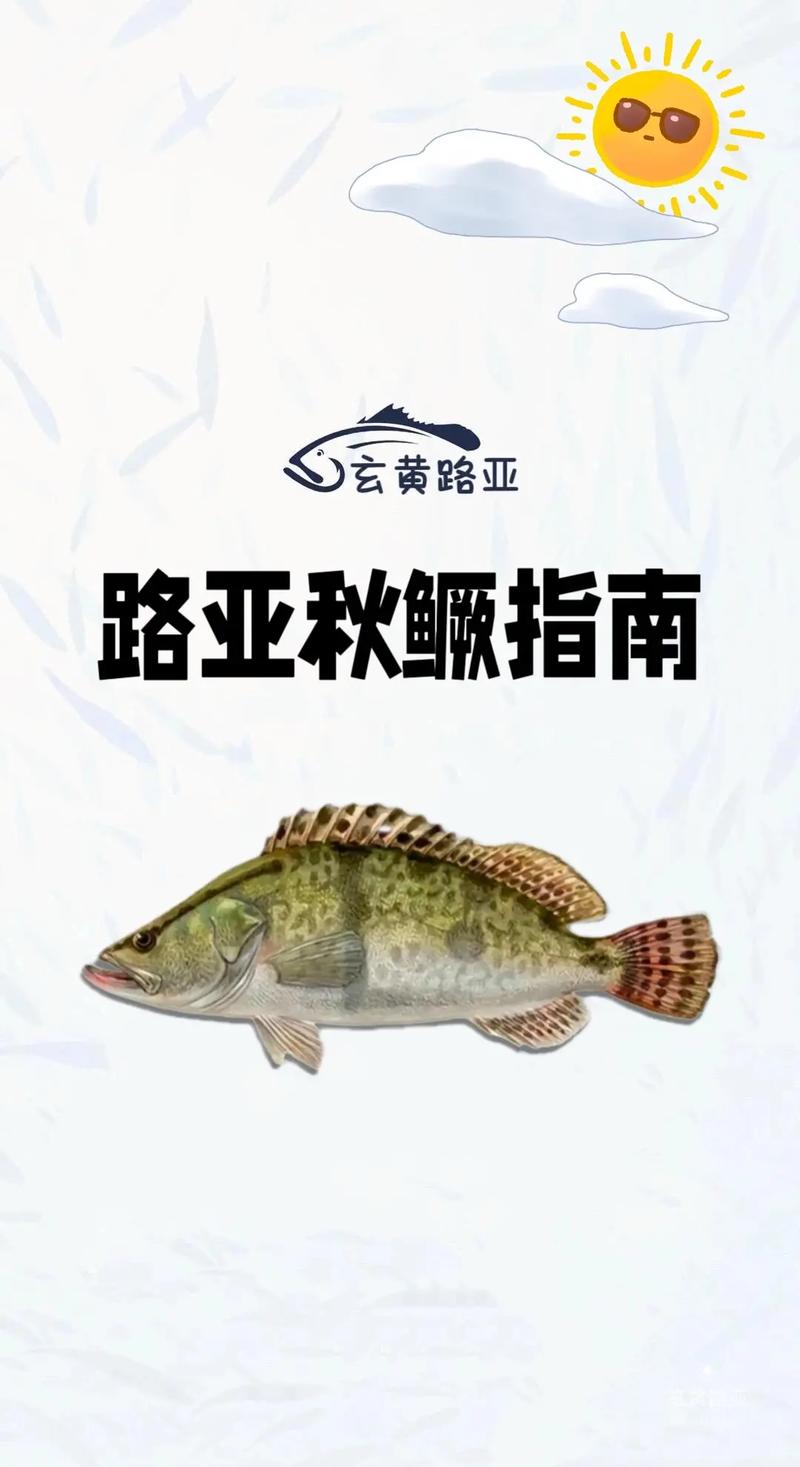 秋季路亞鱖魚的方法和經驗（上）_初秋路亞鱖魚_秋天路亞鱖魚