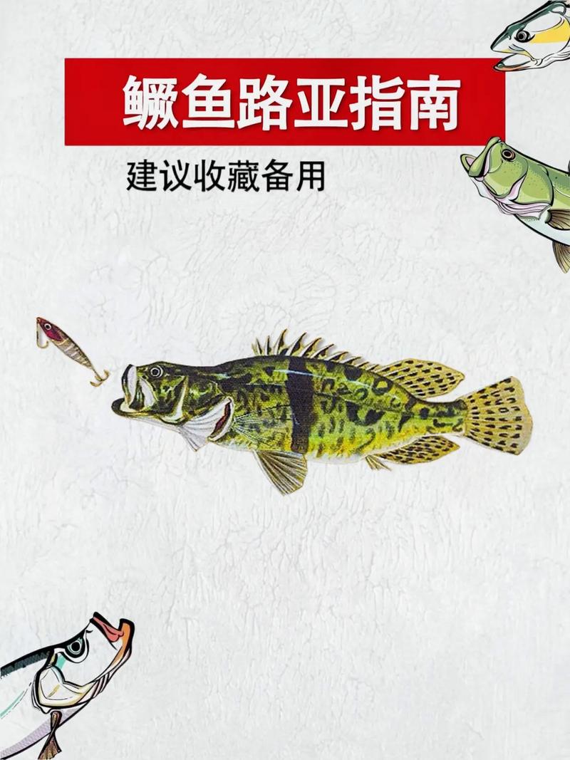 初秋路亞鱖魚_秋天路亞鱖魚_秋季路亞鱖魚的方法和經驗（上）