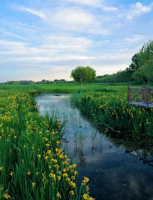 游大運河森林公園：賞秋日美景，了解運河歷史與沿途風光