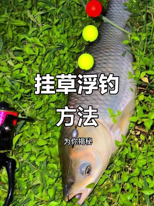 晚秋釣草魚用什么餌料小魚不鬧窩_秋季釣草魚的新招數_釣草魚的難點與誤區