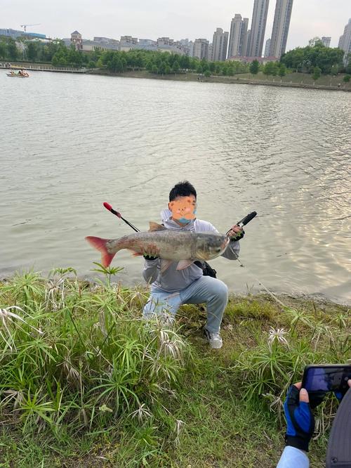 今天下午再到肥東和睦湖試釣_肥東縣和睦湖表演時間_肥東和睦湖國慶開放時間