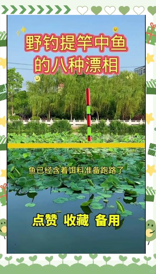 釣魚頂漂_釣魚黑漂_釣魚漂漂技巧