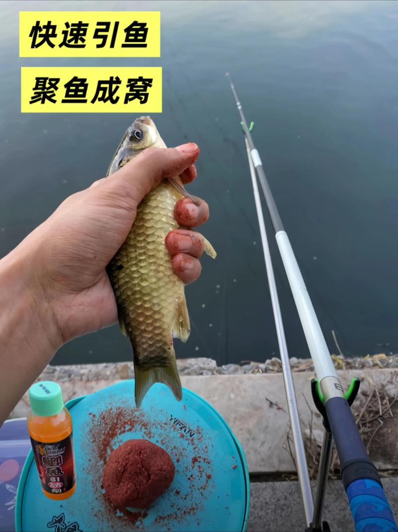 《老鬼釣魚視頻》激戰赤東湖必看_《老鬼釣魚視頻》激戰赤東湖必看_《老鬼釣魚視頻》激戰赤東湖必看