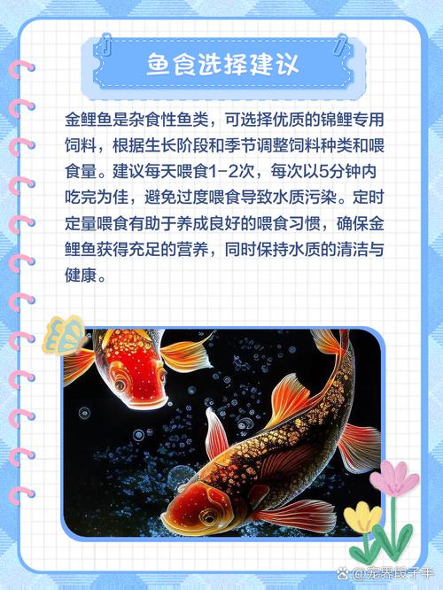鯉魚節目_鯉魚的自頻道_鯉魚的自頻道搜狐