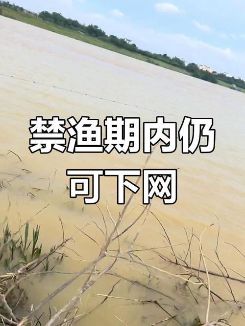 丹江口市退捕禁捕工作_丹江口水庫釣魚_丹江口水庫全面禁捕