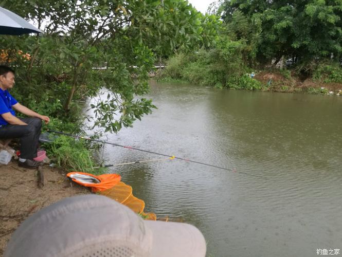 秋季淇澳紅樹林咸淡水先觀后戰自制餌料釣羅非魚_秋季淇澳紅樹林咸淡水先觀后戰自制餌料釣羅非魚_秋季淇澳紅樹林咸淡水先觀后戰自制餌料釣羅非魚