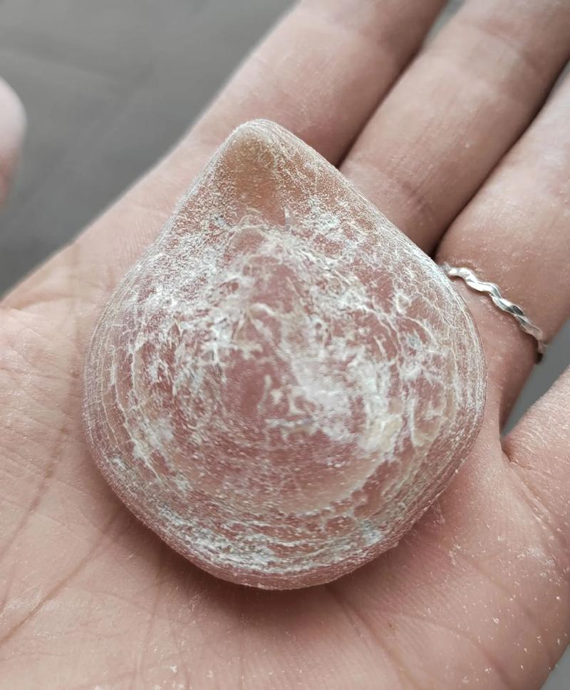 青魚石打磨技巧_今天終于搞到了夢寐以求的青魚石_青魚石制作過程