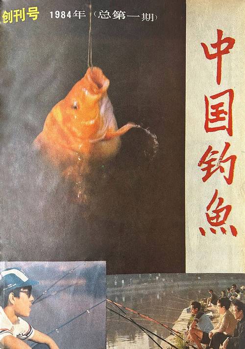 珠海釣魚網論壇交流_珠海釣魚網創辦人是誰_珠海釣魚協會會長