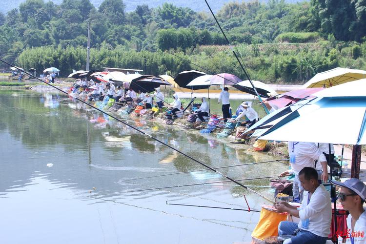 宜賓魚王挑戰釣魚比賽_宜賓釣魚協會_國家級釣魚比賽江安