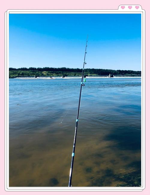 遼寧釣魚論壇_遼寧釣魚論壇魚訊_遼寧釣魚論壇最新版本