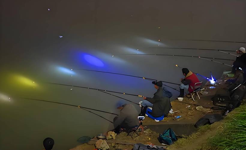 明山水庫釣點_明山水庫釣魚怎么收費_《老鬼釣魚視頻》夜戰明山水庫(一)必看