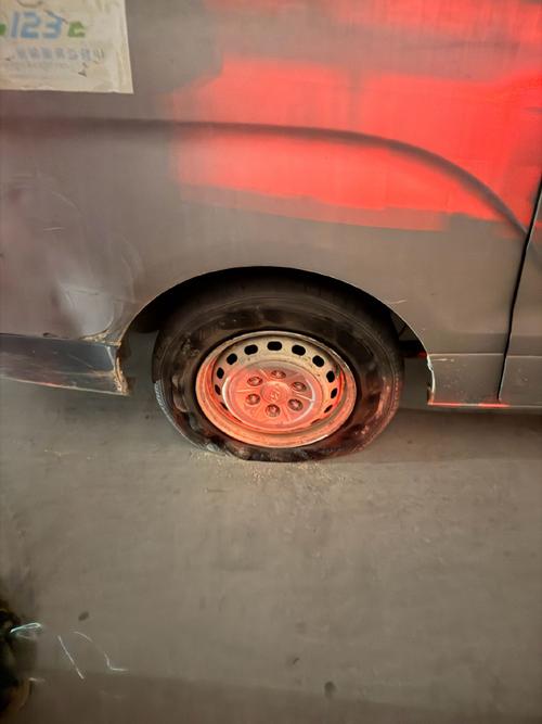 德國 大閘蟹_德國大閘蟹對環境的影響_大閘蟹德國泛濫問題