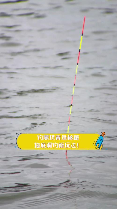 釣青魚技巧_野釣青魚用什么打窩_黑坑青魚作釣經驗